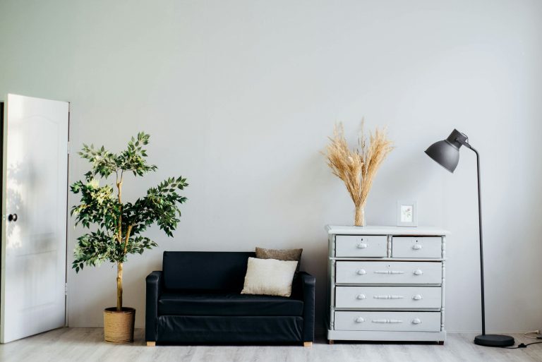 Well-decorated room with a comfortable couch, decorative lamp, and green plant for home sale