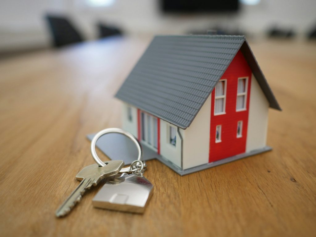 Louissaint Real Estate online agency providing professional real estate services