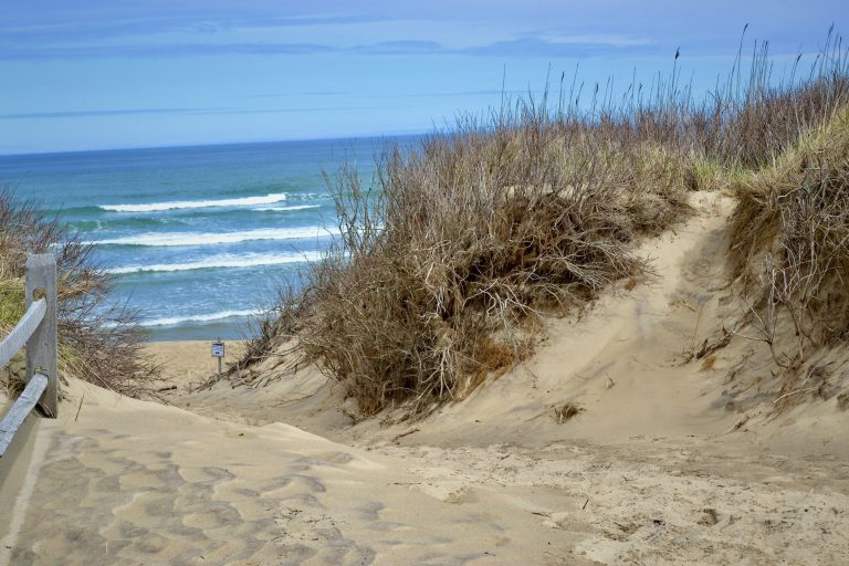 Top attractions and activities in Norfolk County with insights from an online realtor USA.
