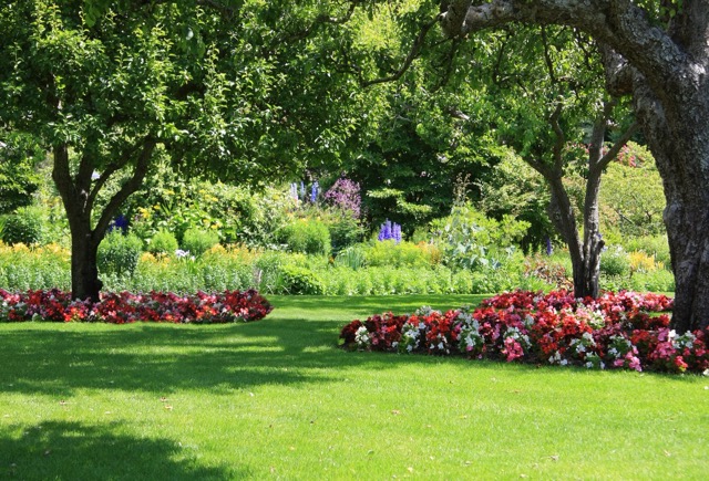 Even the most beautiful garden has weeds from time to time Reality check, perfection is not the goal when it comes to your home. It is your home not a museum, So, make it welcoming and comfortable instead of trying to make it perfect by keeping it tidy and clean 24/7.